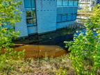2020-04-26 HS Teich HDR